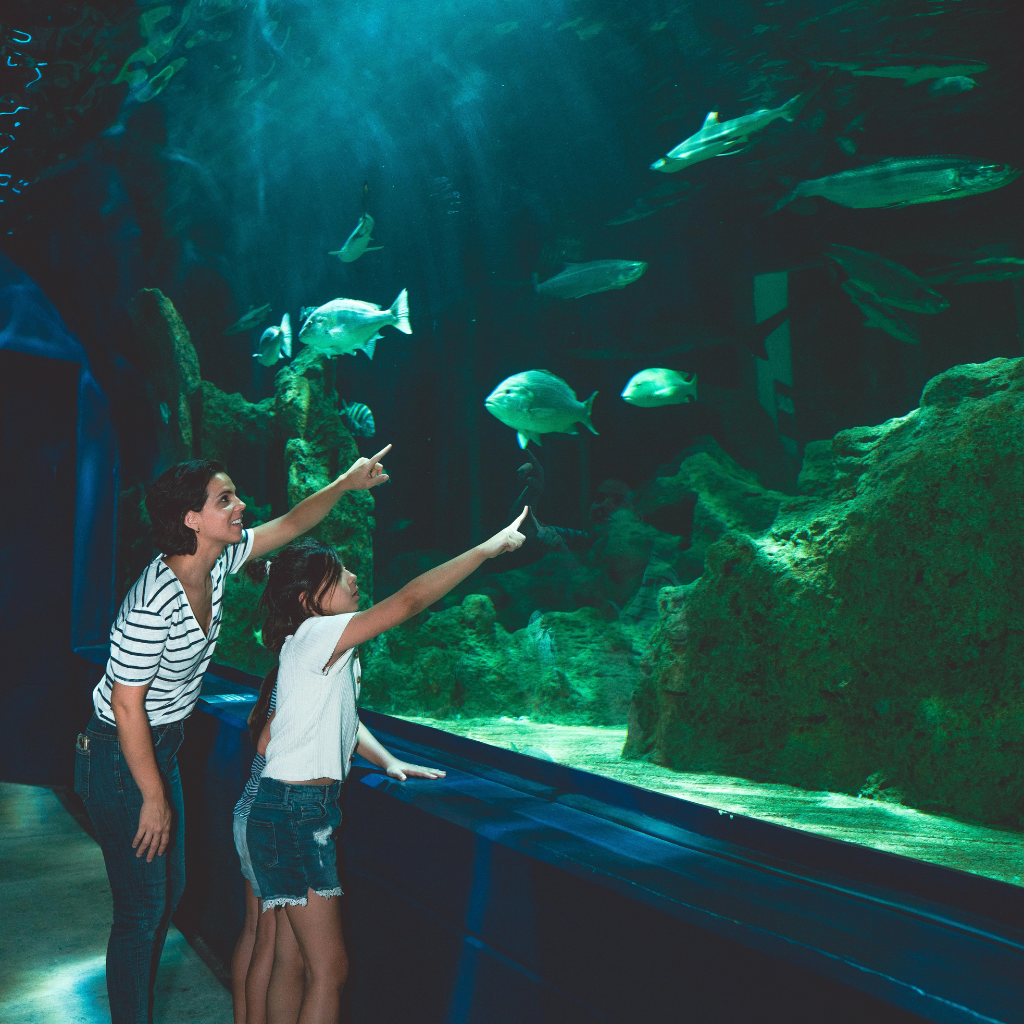 Dubai underwater zoo Ticket